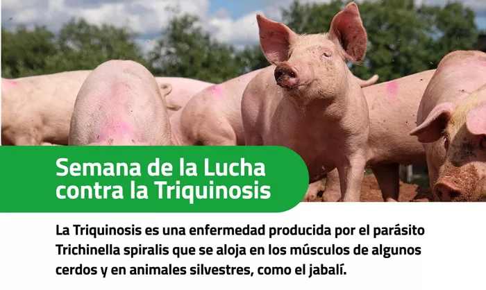 Información sobre Triquinosis