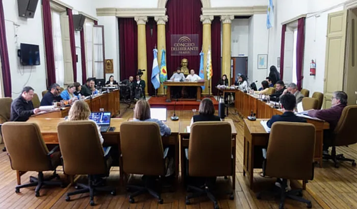 Concejo deliberante