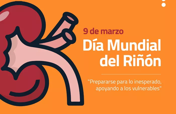 Día riñón