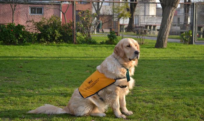 PATA charla informativa