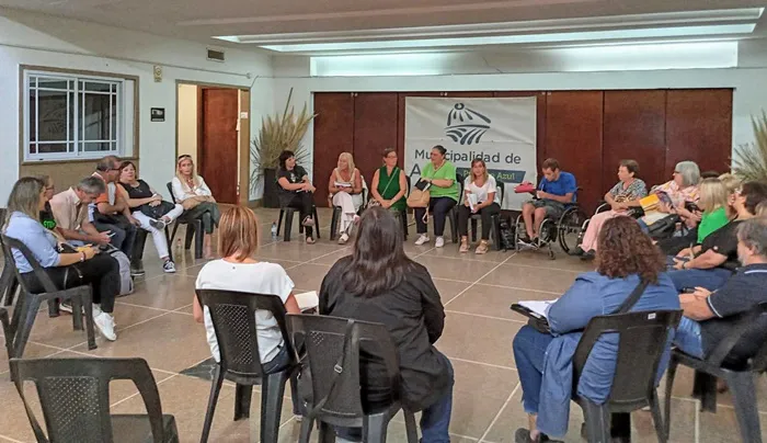 Consejo Discapacidad