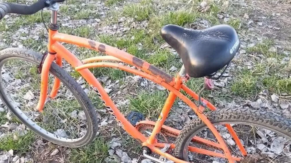 Bicicleta