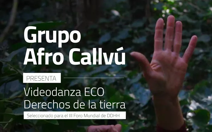 Videodanza