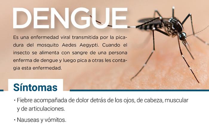 Prevención del dengue