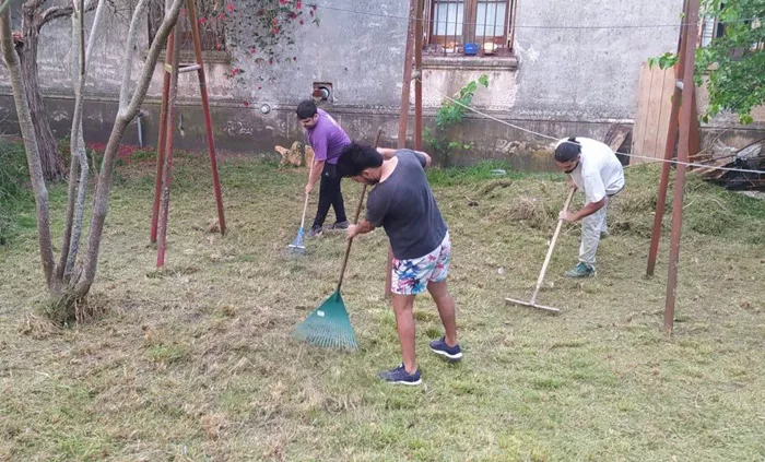 Juventud radical