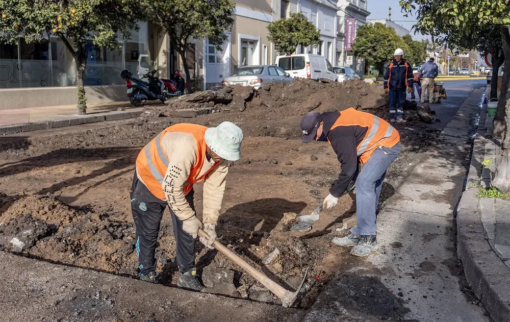 Bacheo