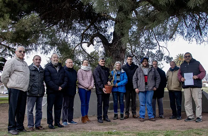 Arbol de San Lorenzo